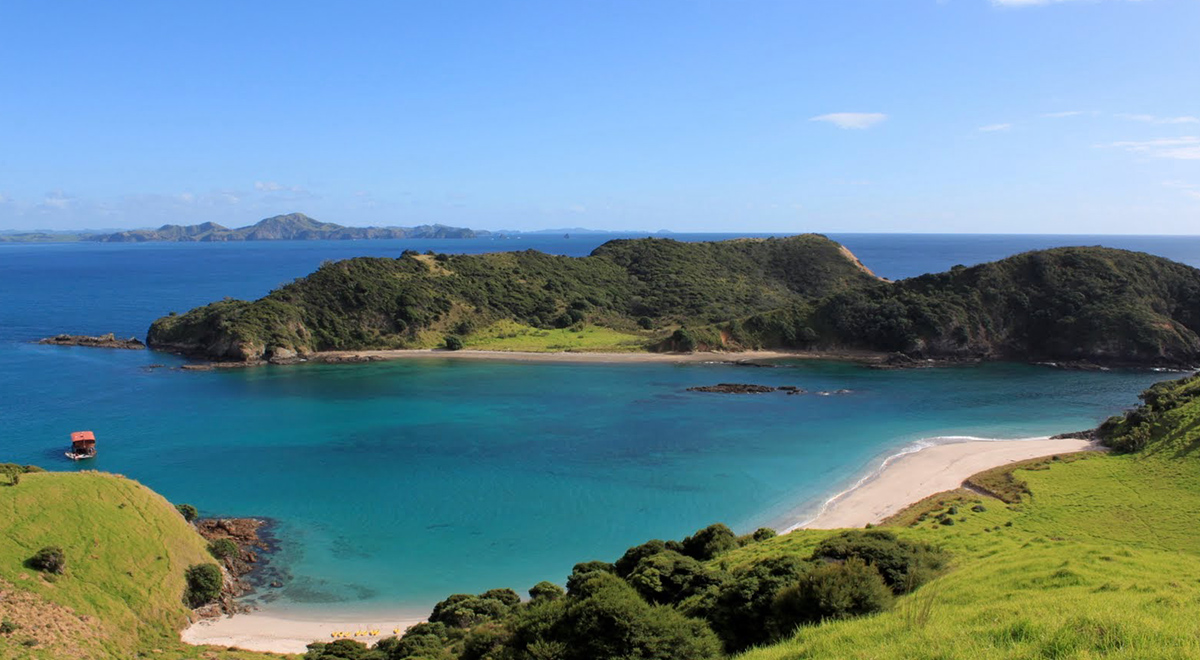 nz5